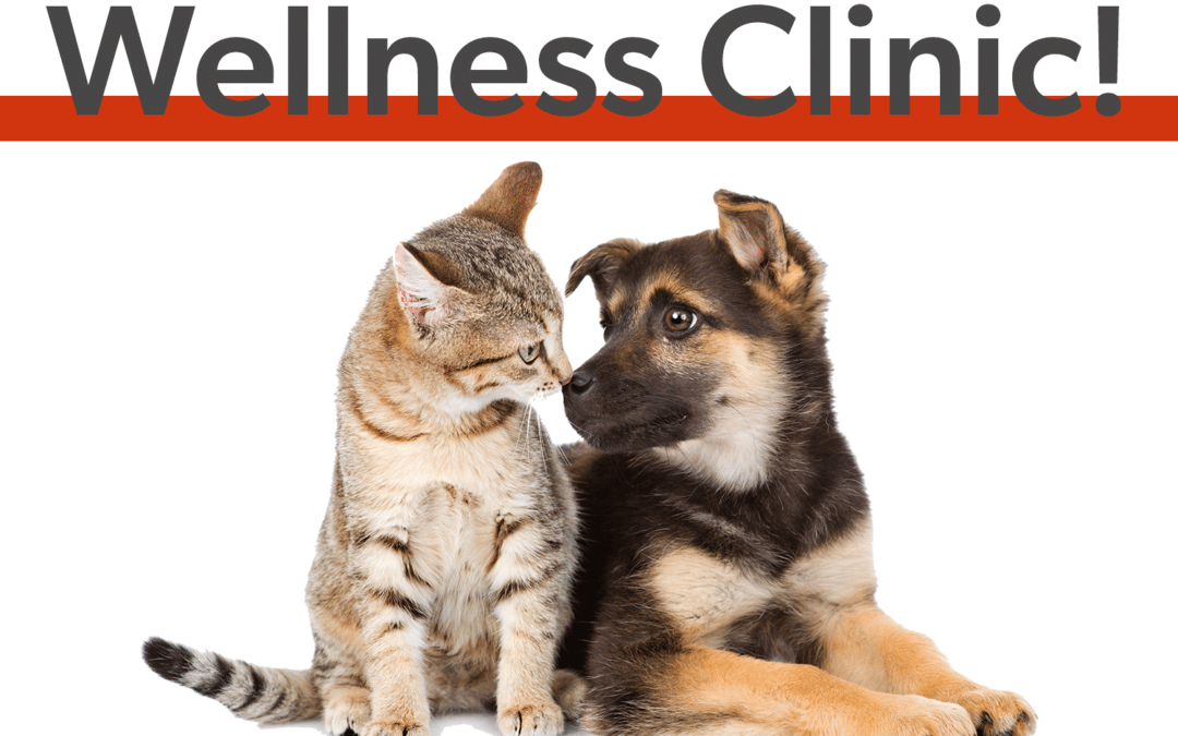 Low-Cost Wellness Clinic!