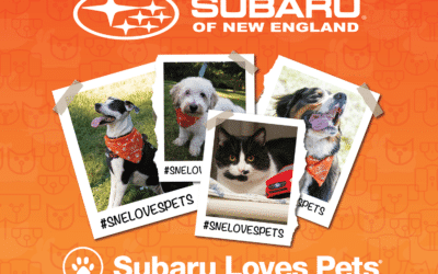 Subaru Loves Pets!
