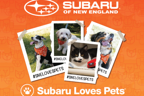 Subaru Loves Pets!
