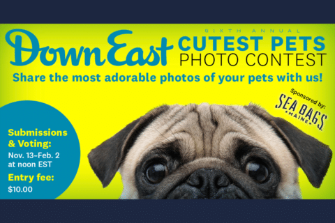 Cutest Pets Photo Contest!