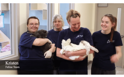Volunteer Appreciation